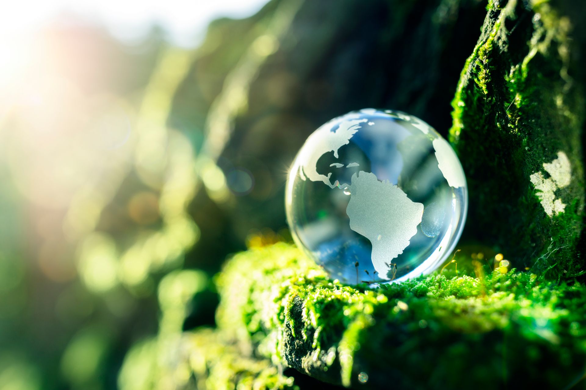 International Strategies for ESG Compliance